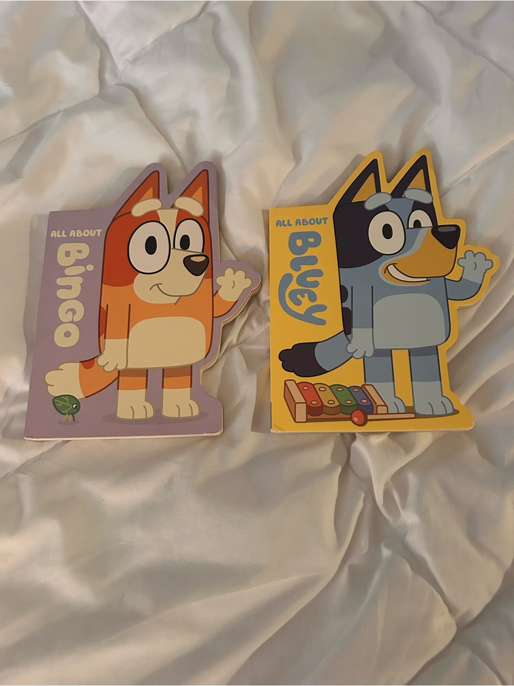 Bluey books